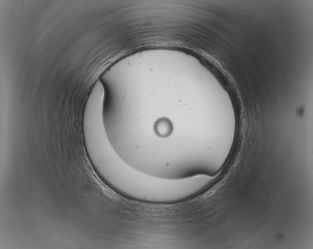 X0000115480897200912040950