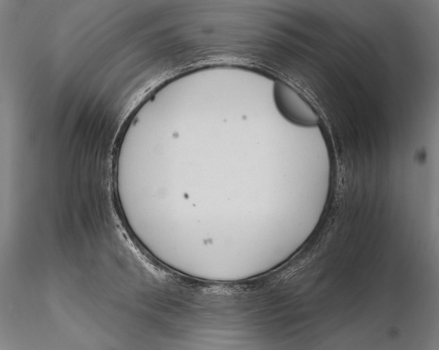 X0000115480898200912040950