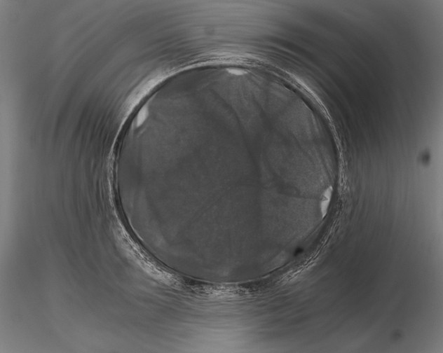 X0000115480899200912040950
