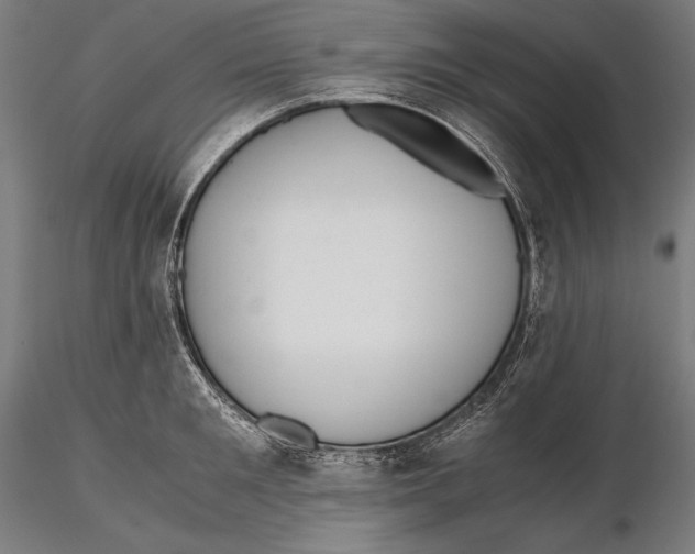 X0000115480901200912040950