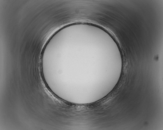 X0000115480903200912040950