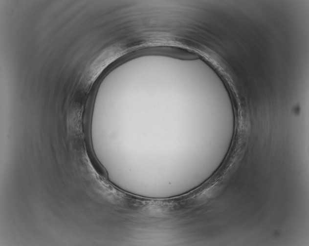 X0000115480905200912040950