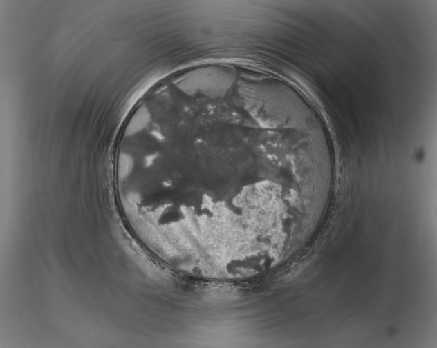 X0000115480907200912040950