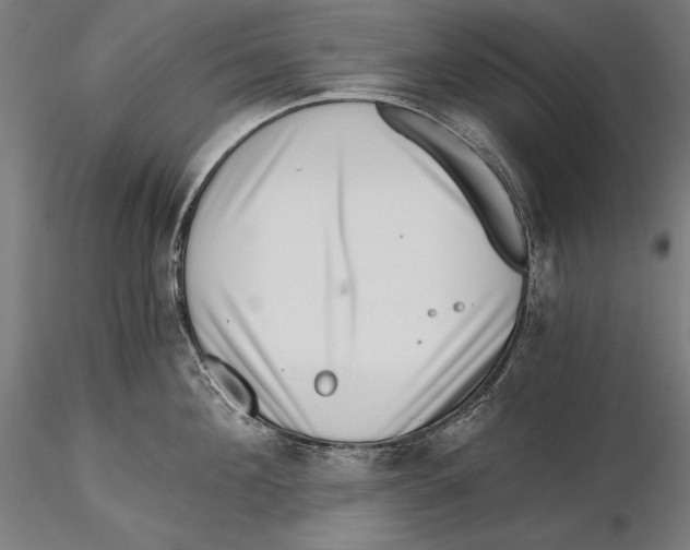 X0000115480908200912040950
