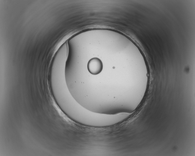 X0000115480909200912040950