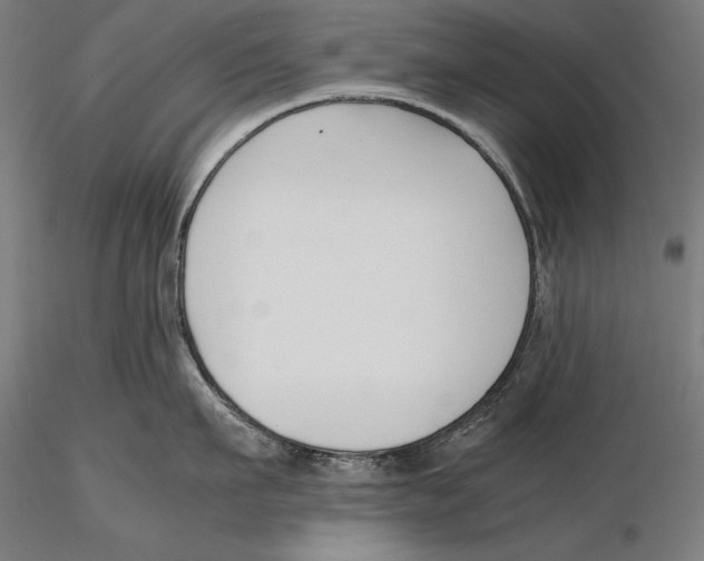 X0000115480911200912040950