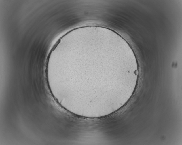 X0000115480912200912040950