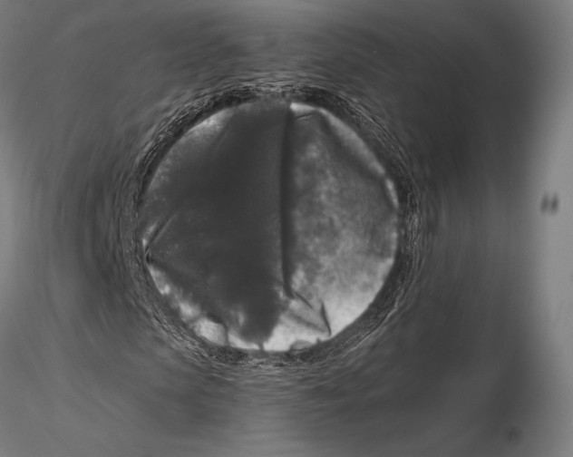 X0000115480913200912040949