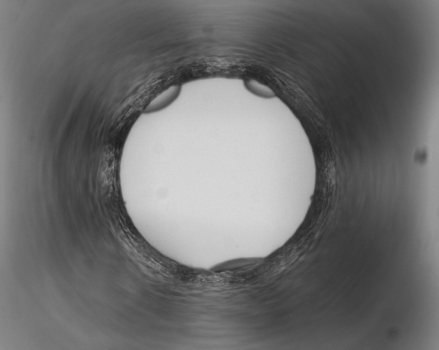 X0000115480914200912040949