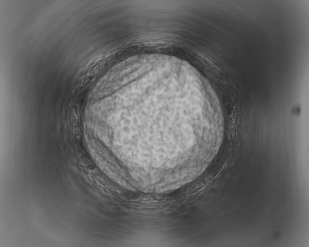 X0000115480917200912040949