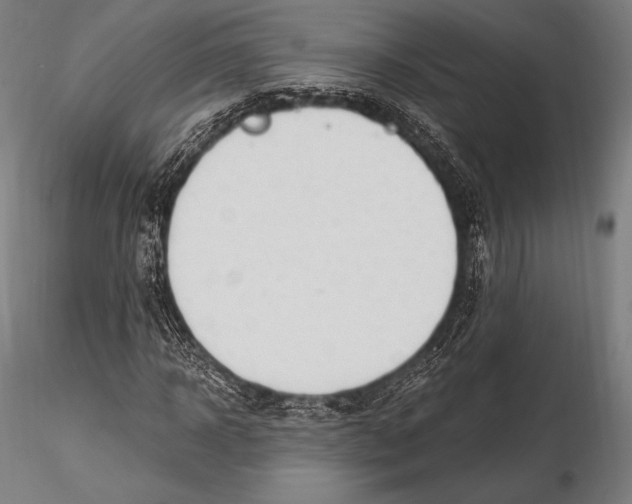 X0000115480918200912040949