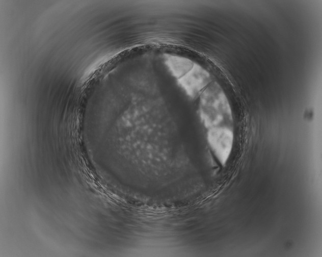 X0000115480919200912040949
