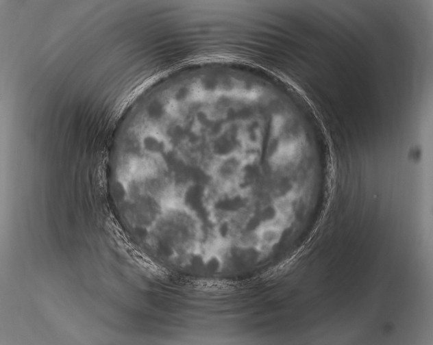X0000115480921200912040949
