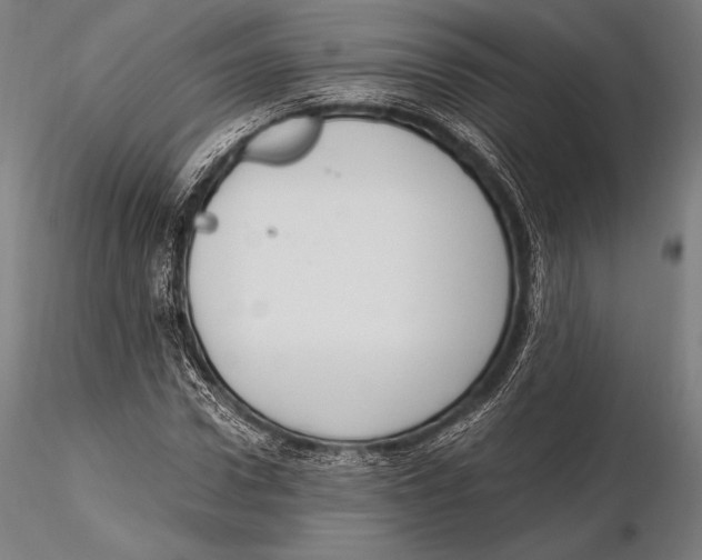 X0000115480922200912040949
