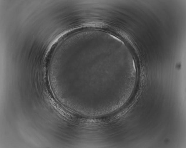 X0000115480923200912040949