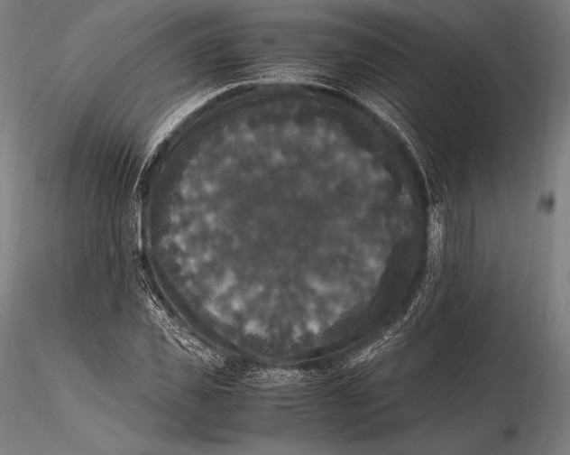 X0000115480925200912040949
