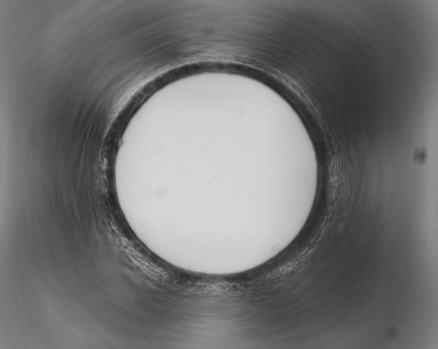 X0000115480926200912040949