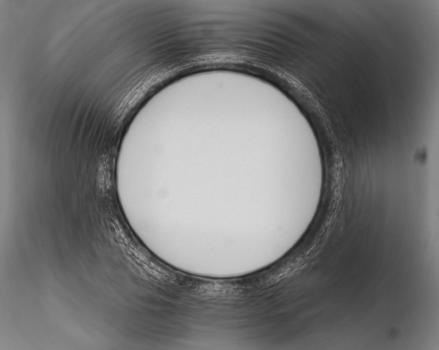 X0000115480929200912040949