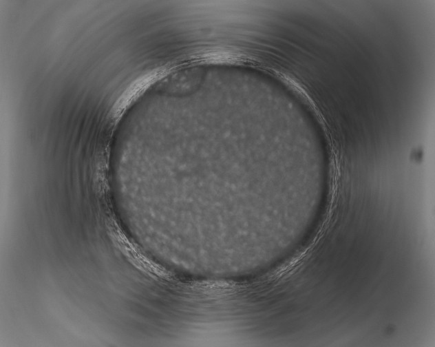 X0000115480930200912040949