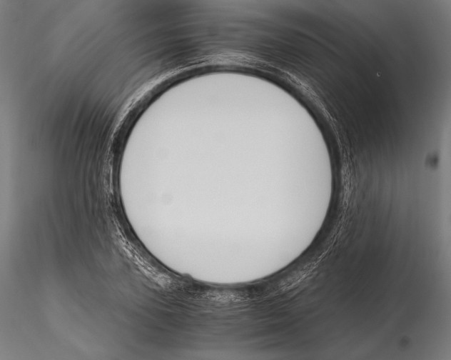 X0000115480931200912040949