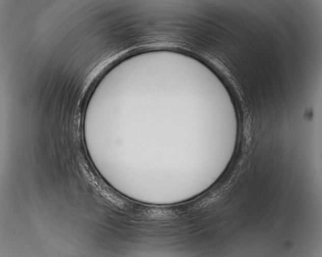 X0000115480933200912040949