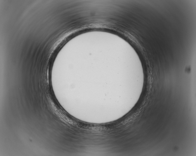 X0000115480934200912040949