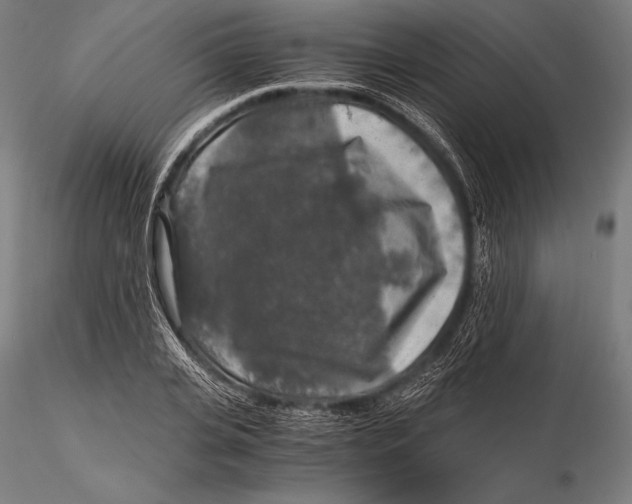 X0000115480935200912040949