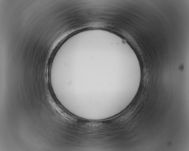 X0000115480939200912040949