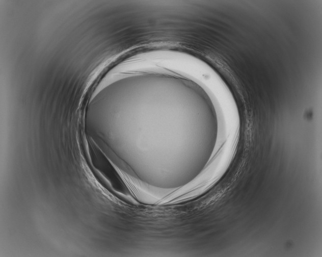 X0000115480941200912040949