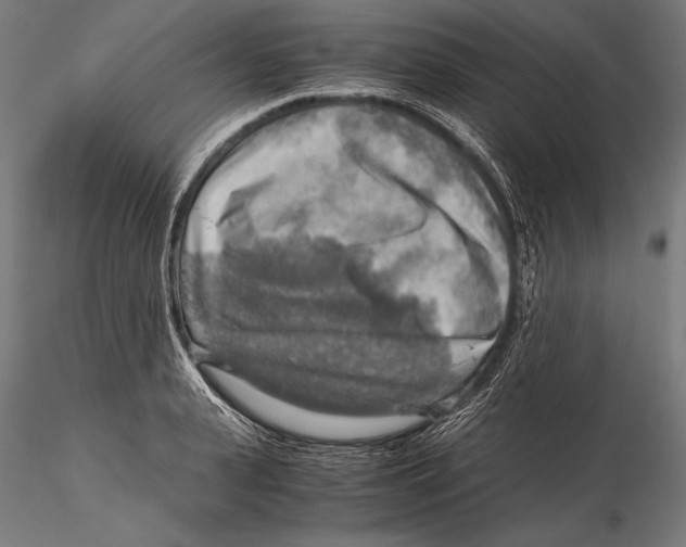 X0000115480943200912040949