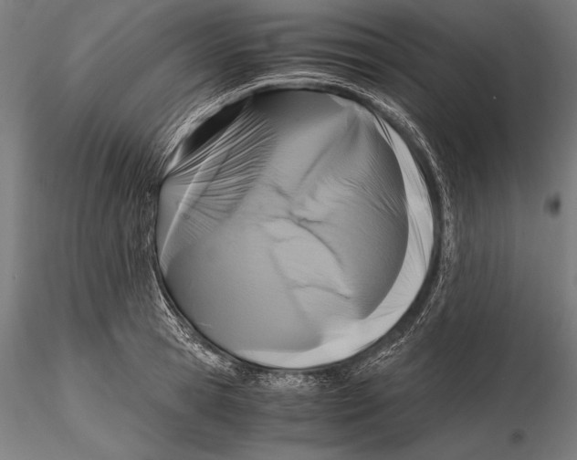 X0000115480945200912040949