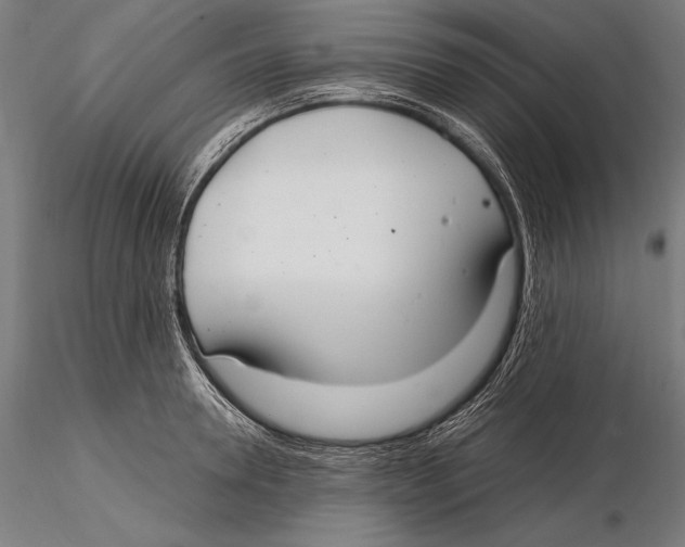 X0000115480946200912040949