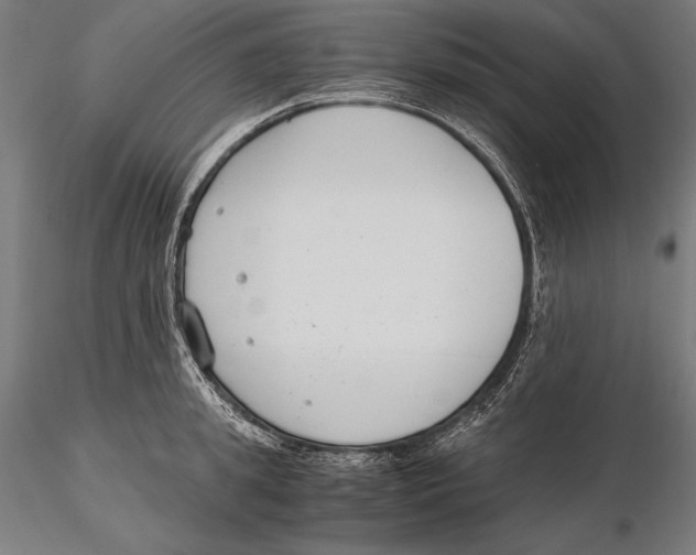X0000115480949200912040949