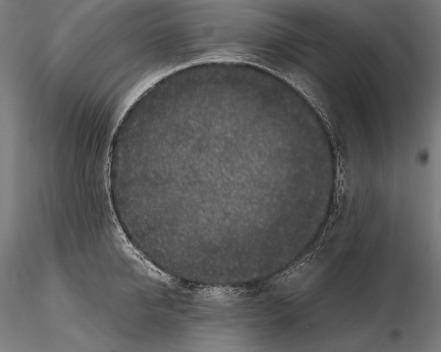X0000115480950200912040949