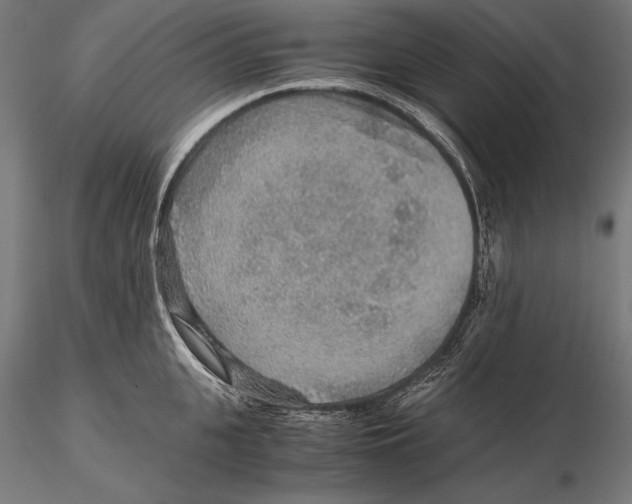 X0000115480951200912040949
