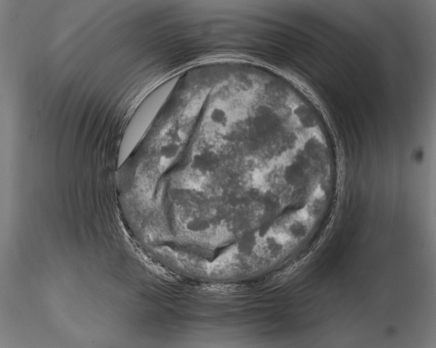 X0000115480953200912040949