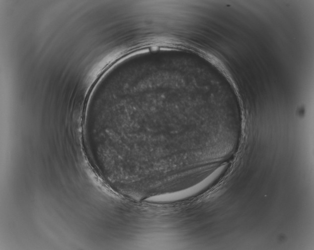X0000115480954200912040949