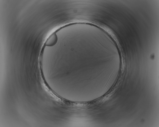 X0000115480958200912040950