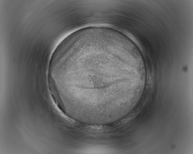 X0000115480959200912040950