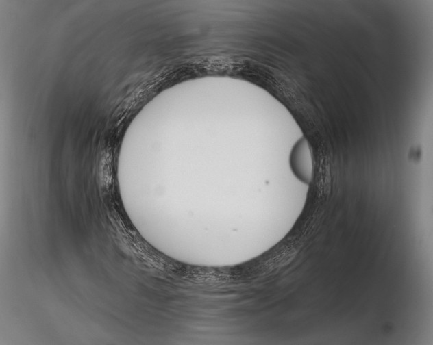 X0000115480962200912040949