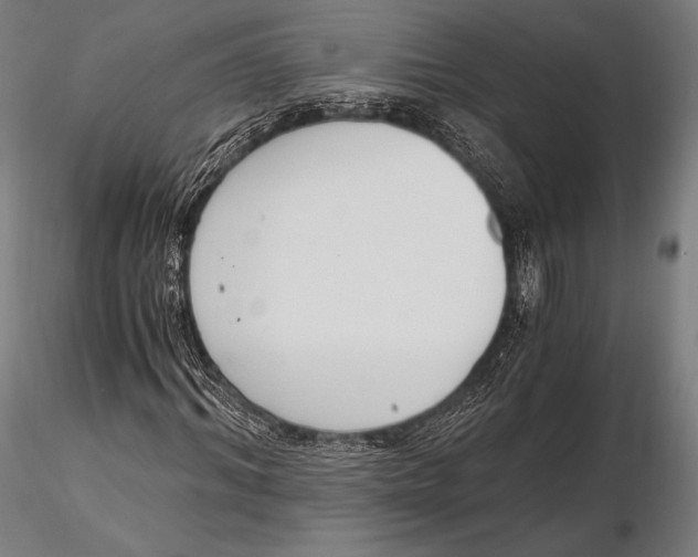 X0000115480964200912040949