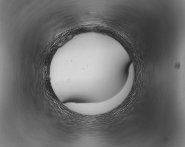 X0000115480965200912040949