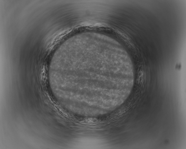 X0000115480966200912040949