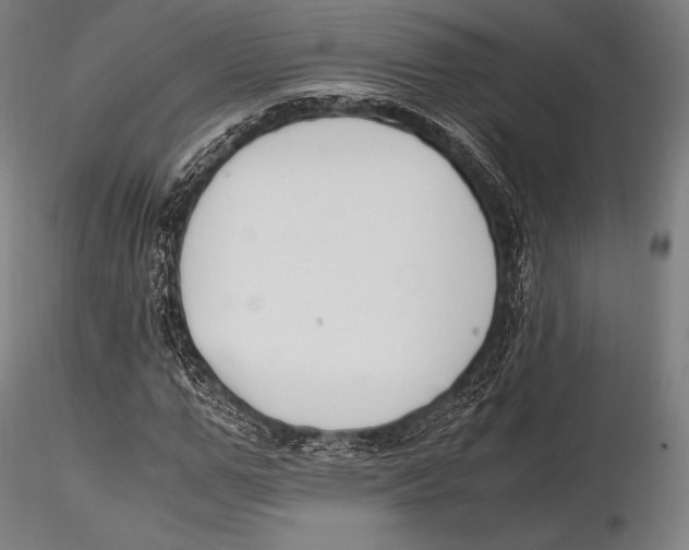 X0000115480967200912040949