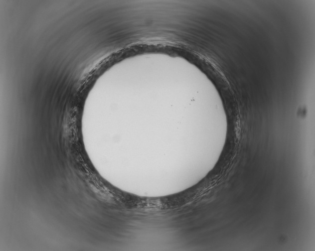 X0000115480968200912040949
