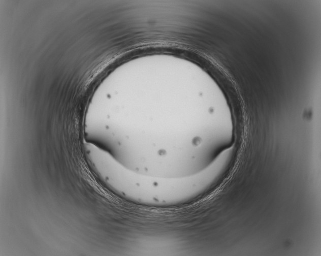 X0000115480969200912040949