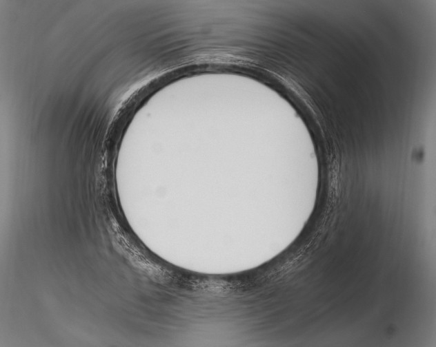 X0000115480971200912040949