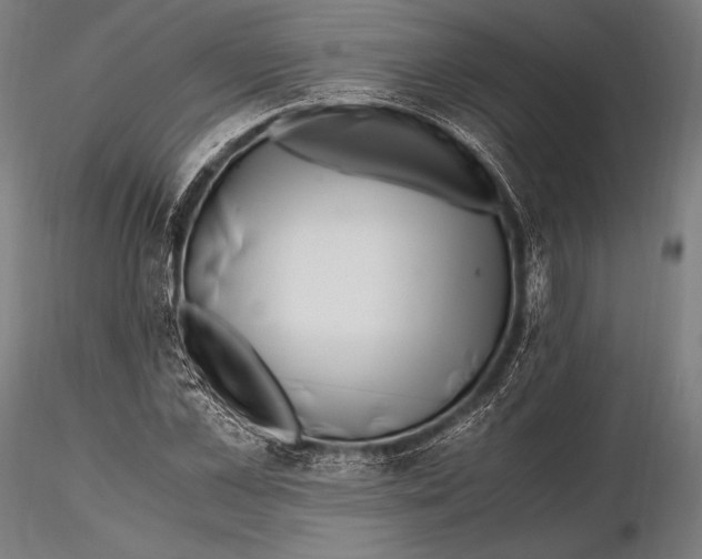 X0000115480973200912040949