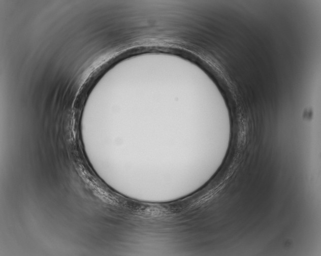 X0000115480974200912040949