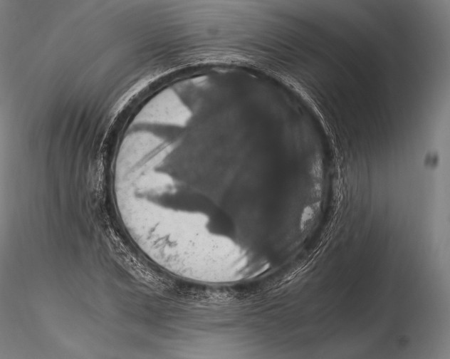 X0000115480975200912040949